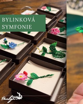 Tři podceňované bylinky, tři nečekané příběhy. 🌿 1️⃣ Kopřiva – „Bodlák s duší“ 🌱 Zajímavost, kterou neznáte: Kopřiva roste...