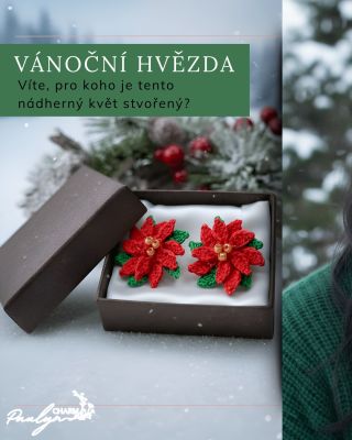 Myslíte si, že vánoční hvězda je jen na Vánoce? Mýlíte se! 🌟 Tahle nádherná květina má svou sílu po celý rok - a když si...